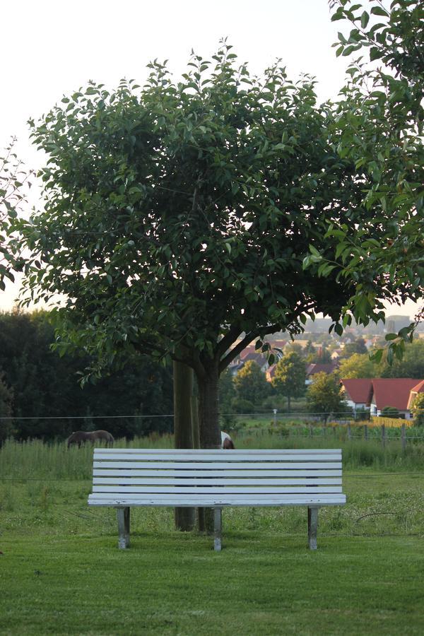 Hotel Pension Haus Stork Holzhausen  Exteriér fotografie